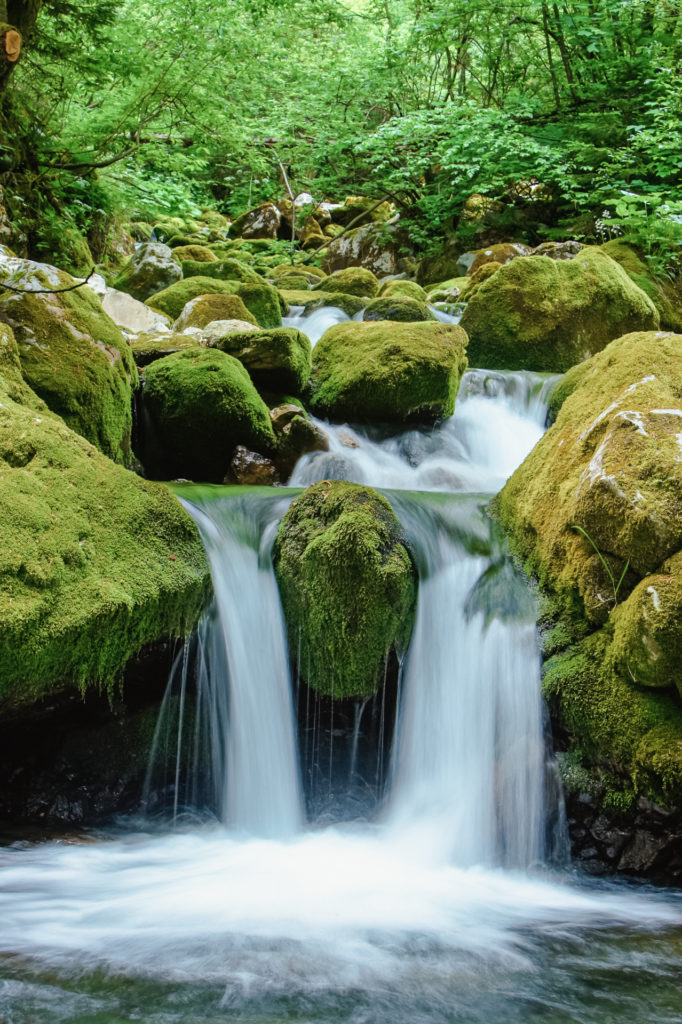 珍惜水資源 珍惜水資源